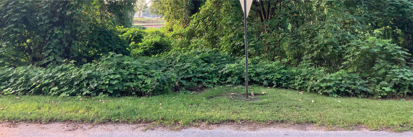 Alabama property an hour from Pensacola Bay, Florida