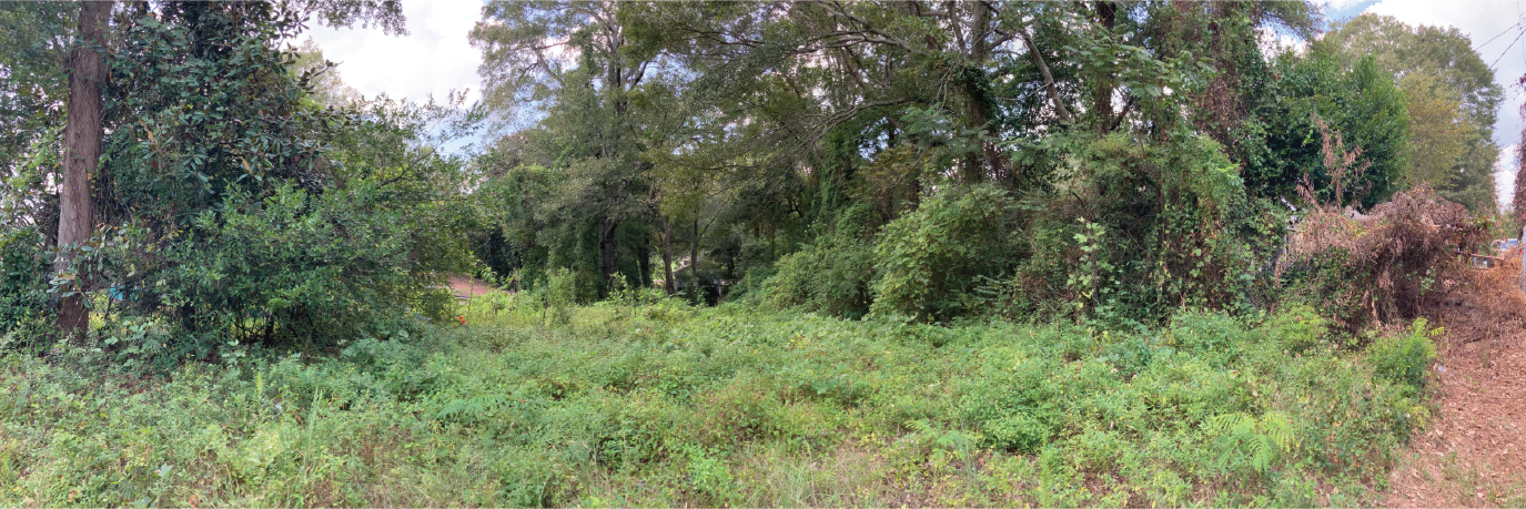 Near Quarter Acre in Vibrant Southern Town