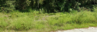 About 30 minutes from the Gulf of Mexico this lot is a true gem