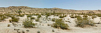 California Living on Spacious Desert Land