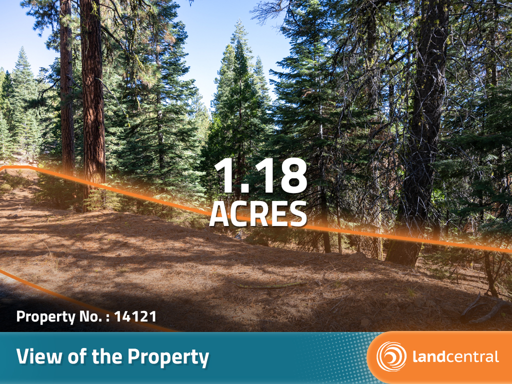 Over an acre of perfection in the beautiful Modoc National Forest14