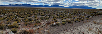 Ten acres of gorgeous land away from the towns and cities