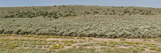 Large property on the outskirts of a sweet farming town