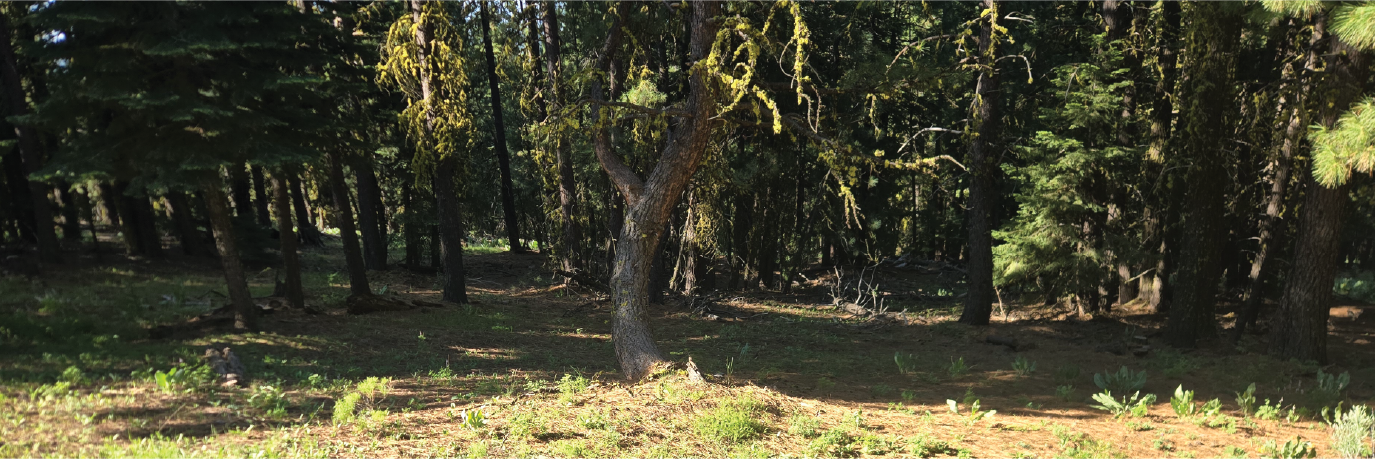 Amazing property in the stunning town of Alturas on almost an acre