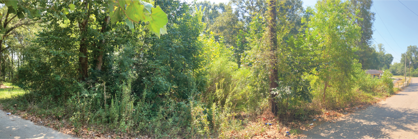 Vacant Land Lot in Northside Columbia, Marion County, MS