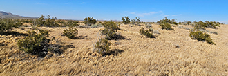 Large 10 acre property in the quiet desert not far from the city