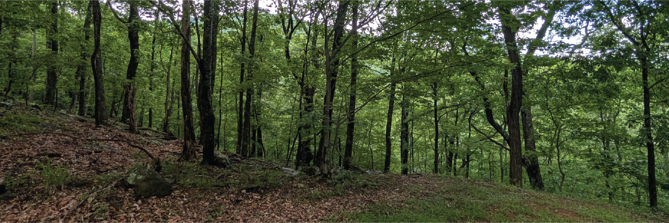 An amazing future awaits you in the stunning community