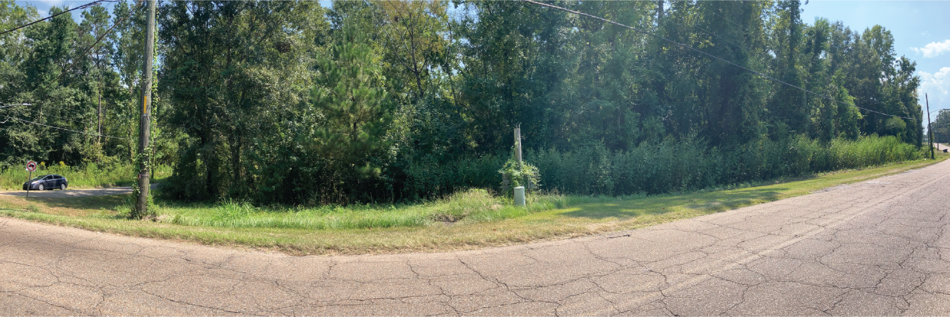 Ready to build on, gorgeous property in southern Hattiesburg