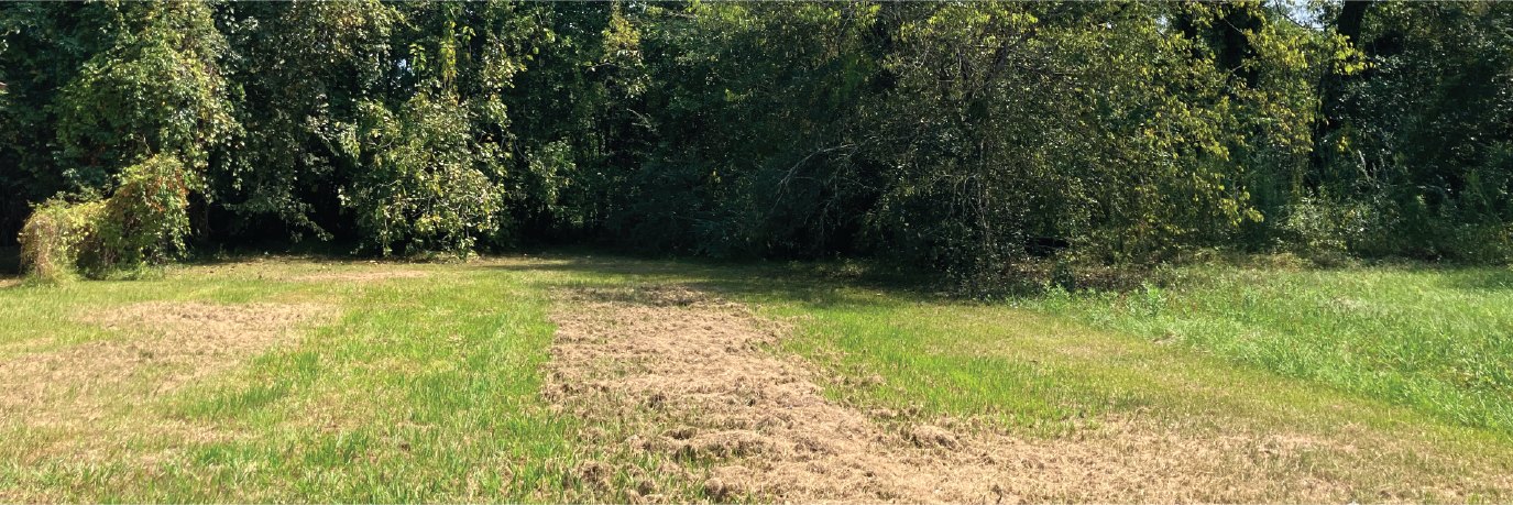 Great property in a charming neighborhood in the heart of town