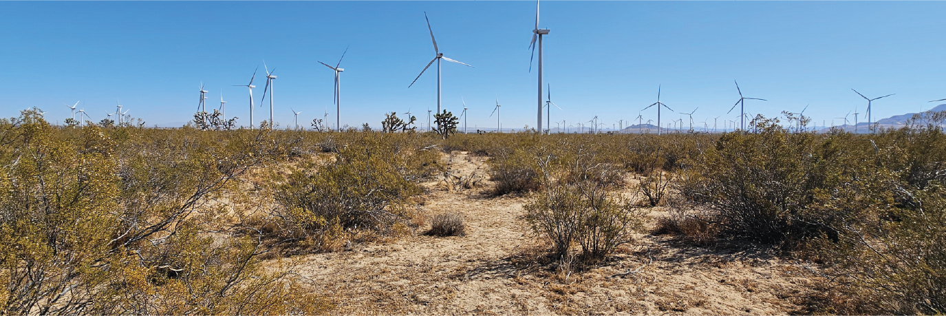 Beautiful large property just outside of the beautiful city of Mojave