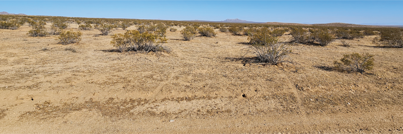 20 acres of off the grid paradise full of potential and possibilities