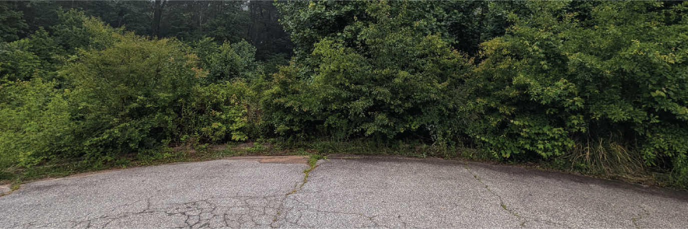 Almost an acre at the end of the road in a peaceful town