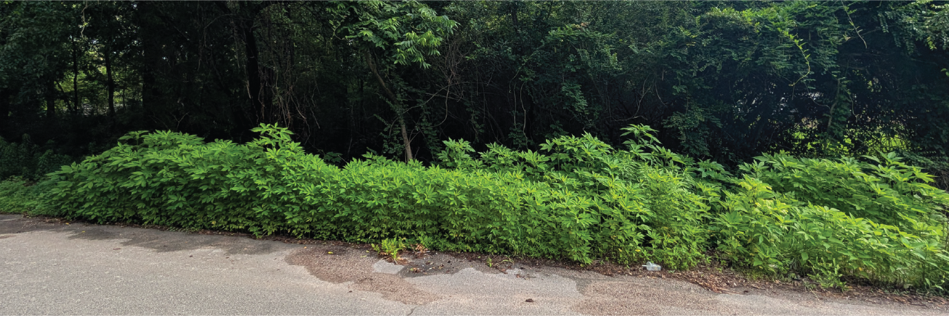 More than an acre in a beautiful community of well maintained homes
