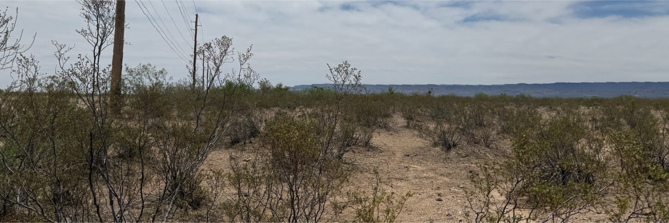 The perfect large property to build your desert get away