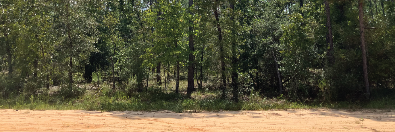 Beautiful property in a quiet neighborhood on the edge of town