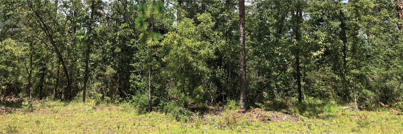 Over an acre of lovely property in a charming town by multiple lakes