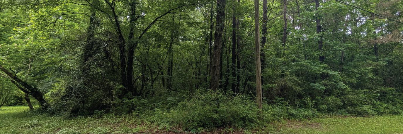 Charming property in a well maintained suburban area