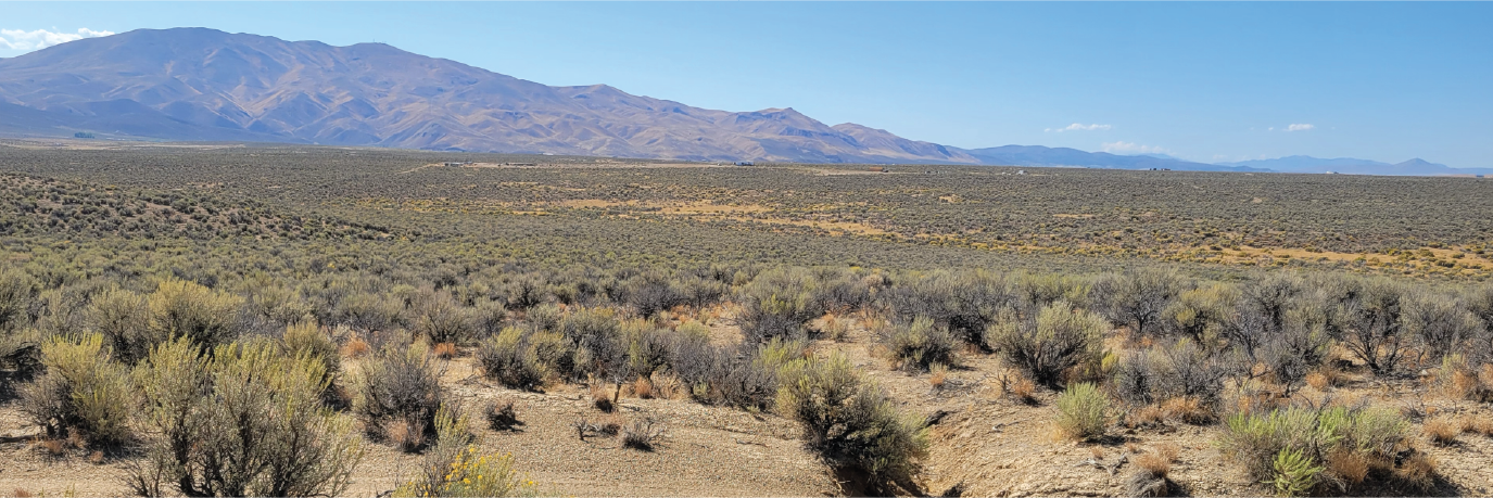 More than 10 acres of beautiful, open land in northern Nevada