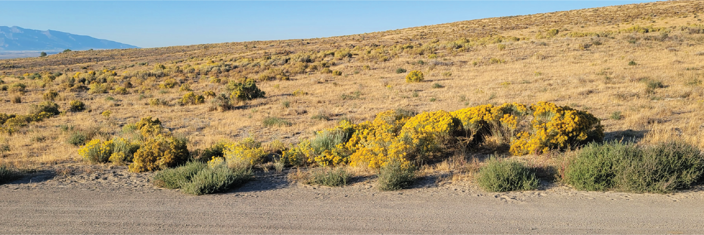 A gorgeous 10 acre plot of ready to develop land in a stunning area