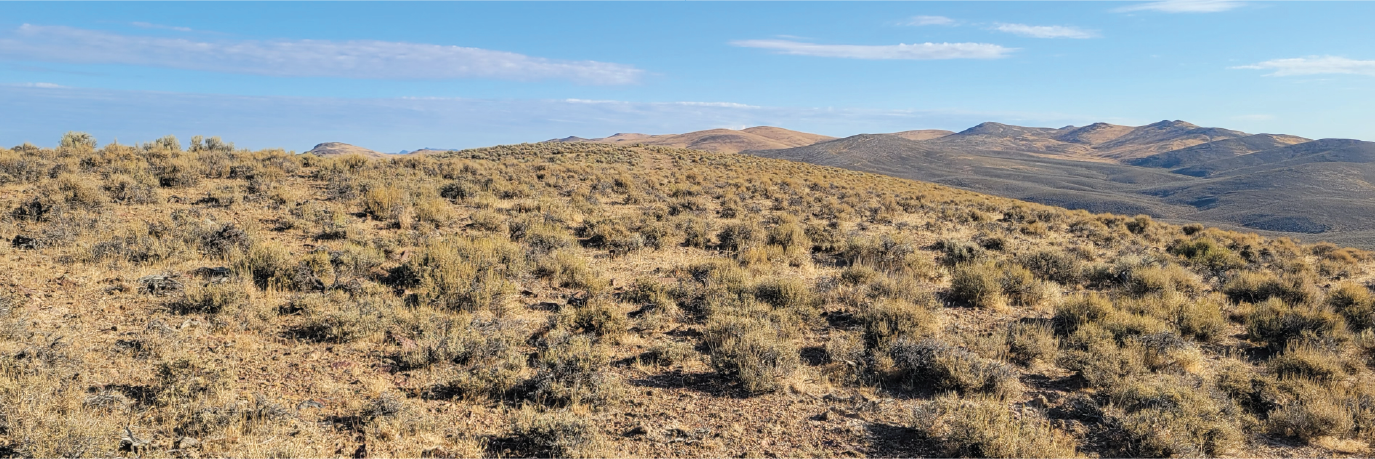 20 acres of off the grid paradise in the beauty of northern Nevada