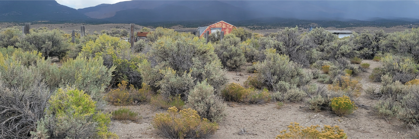 40 acres of stunning land in a gorgeous part of northern Nevada