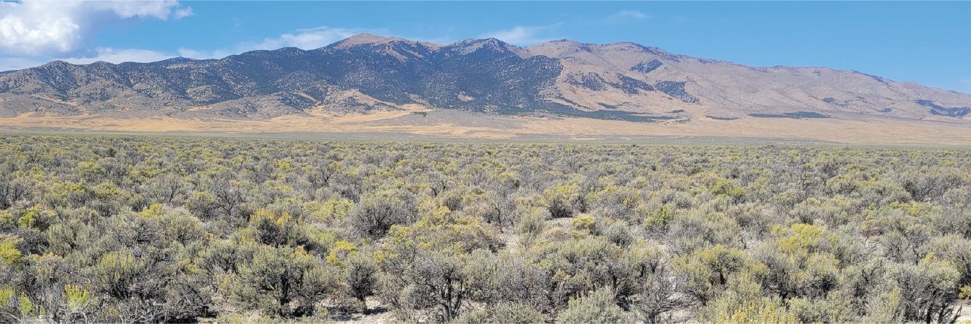 A huge parcel of gorgeous land full of potential