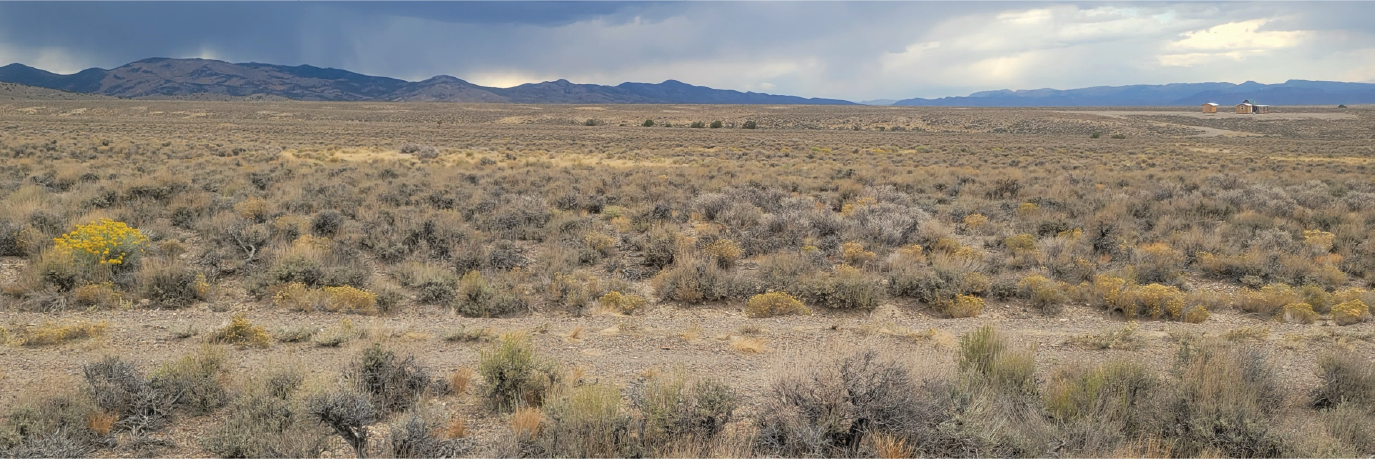 A gorgeous 10 acre property in the peaceful beauty of Northern Nevada