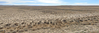 Forty Acre Property in Central Wyoming